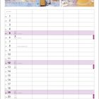 „EINFACH EISIGARTIG“ – Britisch Kurzhaar, Silver Tabby. Ein Kalenderblatt für Dezember mit einer Katze hinter einer vereisten Scheibe.