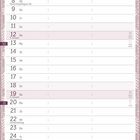 Kalenderseite für Dezember, mit Daten von 1. bis 31. Feiertage wie Nikolaus, Weihnachten und Silvester sind markiert.