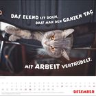 „Das Elend ist doch, dass man den ganzen Tag mit Arbeit vertrödelt.“ Eine graue Katze schaut neugierig unter einem Stuhl hervor.