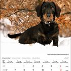 Dezember 2027 Kalender. Ein Dackel steht im Schnee vor herbstlichen Blättern.