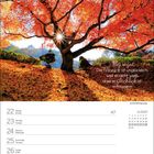 Zitat: "Es ist schwer, das Glück in uns zu finden, und es ist ganz unmöglich, es anderswo zu finden." Eine verschneite Hütte.