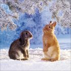 Zwei Kaninchen sitzen im Schnee unter schneebedeckten Tannenzweigen, in einer winterlichen Landschaft.