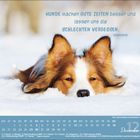 Text: „Hunde machen gute Zeiten besser und lassen uns die schlechten vergessen. Unbekannt.“
Ein Hund liegt im Schnee.