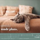 "I would love to, but my cat and I already made plans." Im Hintergrund eine schlafende graue Katze. Dezember-Kalender.