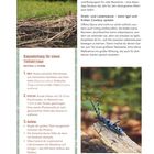 Bauanleitung für einen Totholzzaun: Material & Technik. Draht- und Lattenzäune – wenn Igel und Kröten Cowboy spielen.