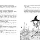 Text: Dialog zwischen Petronella und Gurkenhut über Morchelalgen im Mühlteich.  
Illustration: Eine Hexe mit einem Freund auf einem Steg am Teich.