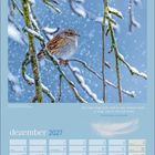 Ein Vogel sitzt auf einem schneebedeckten Ast. Text: "Ein Vogel singt nicht... chinesisches Sprichwort." Dezember 2027.