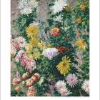 "12", "Weiße und gelbe Chrysanthemen". Dicht arrangierte Blumen in lebendigen Farben. Gemälde mit impressionistischem Stil.