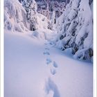 Zitat von Ralph Waldo Emerson. Ein verschneiter Winterwald bei Sonnenuntergang mit Fußspuren im Schnee. Kalender für Dezember 2027.