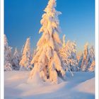 12 | 2027, schneebedeckte Bäume im Sonnenuntergang. Kalenderansicht mit Dezemberdaten.