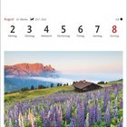 Kalender mit Augustdaten. Darunter Lupinenfeld vor den Dolomiten mit Hütte, klare Morgenstimmung in Italien.