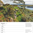 Augustkalender mit Landschaftsfoto: Ein geneigter Baum in grüner, felsiger Umgebung, Gewässer im Hintergrund.
