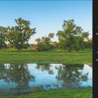 Text: „Uferlose Schönheit. Die Elbe... Brandenburg“. Datum: Sonntag, 11. April. 

Szene: Fluss mit Bäumen und Wiese.