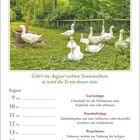 "Gibt's im August rechten Sonnenschein, so wird die Ernte besser sein." Bild von Enten auf einer grünen Wiese.