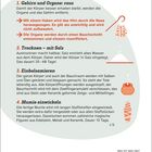 1. Gehirn und Organe: raus  
Haken durch Nase, Organe durch Bauchschnitt entfernt.  
2. Trocknen – mit Salz  
35-40 Tage in Salz.  
3. Einbalsamieren  
Mit Salben behandelt.  
4. Mumie einwickeln  
15 Tage, mit Stoffstreifen.  
Illustrationen: Haken, Gehirn, Salzberg, Topf, Mumie.