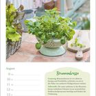 Augustkalender mit Brunnenkresse auf Tisch. Text erklärt Ursprung, Nährstoffe und gibt Tipp zur Verwendung in Gerichten.