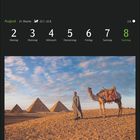 Kalenderwoche 31 im August mit Pyramiden und einem Mann mit Kamel in der Wüste.