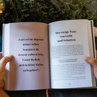 Links: „Und erst im Abgrund deiner Selbst begegnest du deinem wahren Sein. Traust du dich, dich in deine Tiefen zu begeben?“ Rechts: Überschrift „Der ewige Tanz von Licht und Schatten“ gefolgt von einem Text. Opulenter Hintergrund mit Pflanzen.