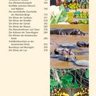 Inhalte: Artikel über Kenia, Ethnien und Natur. Bilder: Marktstand mit Früchten, badende Nilpferde, Schmetterling auf Pflanzen.