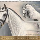 Text: "Chacoon Blue", "November".
Zeigt ein Pferd in einem Trensenzaum und ein springendes Pferd, darunter ein Kalender.
