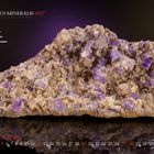 Text: "MUNDUS MINERALIS 2027", "Apatit", "Deutschland, Sachsen", "DEZEMBER". Zeigt violette Mineralien auf dunklem Hintergrund.
