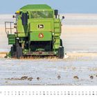 "DEZEMBER" und Kalendertage unter einem grünen Mähdrescher auf schneebedecktem Feld mit Vögeln im Vordergrund.