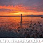 Text: "12 2027", "Gardasee - Sonnenuntergang in Lazise". Enten und Schwäne schwimmen im Wasser bei Sonnenuntergang.