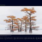 "12 Dezember" in grün; Kalenderansicht; Herbstbäume in einem See; neblige Atmosphäre; ruhige, natürliche Szenerie.