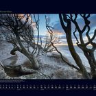 11 November. Kalender mit einem winterlichen Strandbild, Bäume neigen sich im starken Wind zur Seite, Meer im Hintergrund.