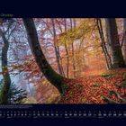"10 Oktober" und Monatskalender. Illustration eines herbstlichen Waldes mit bunten Blättern und moosbewachsenen Bäumen.