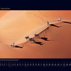 09 September. Oryxantilopen gehen durch eine rote Sandwüste mit klaren Schatten und Spuren im Sand.