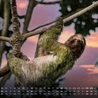 Kalender mit Dezemberdaten unten, Faultier hängt an einem Baum vor farbigem Himmel.