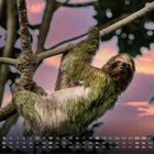 Text im unteren Bereich: Kalendertage mit Datumsangaben; 12. Ein Faultier hängt entspannt in einem Baum vor einem bunten Himmel.