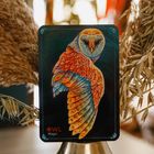 "OWL Magic" steht auf einer Karte mit einer bunten Eule. Die Eule ist kunstvoll illustriert mit lebhaften Farben und Mustern.
