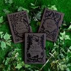 Buchtitel: "The Cruel Prince", "The Wicked King", "The Queen of Nothing". Dunkle Cover, dekorative Illustrationen, Blätter.