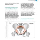 Text: "Das Ilio­sakral­ge­lenk (ISG) und seine Dys­funk­tio­nen", "Das Iliosakralgelenk hat eine zentrale Funktion im Körper". Eine medizinische Illustration zeigt das Becken.