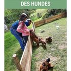 II. DIE GRUNDPRÄGUNG DES HUNDES. Zwei Personen spielen mit Welpen in einem eingezäunten Gartenbereich.