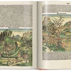 Links "Bon den Türcken", rechts "Bon macedonia". Zwei mittelalterliche Illustrationen von Städten, Landschaften und Burgen.