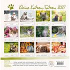 "Kleine Katzen-Tatzen 2027" zeigt Monate mit Katzenfotos und Sprüchen. Grün-weißes Layout mit Kalendertagen.
