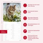 Ein Kalender mit einem Bild einer Katze im Gras. Texte: Viel Platz für Planung, Entzückende Katzenbilder, FSC-Papier.