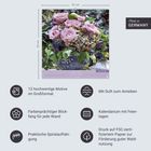 12 hochwertige Motive im Großformat. Made in Germany. Bild zeigt Blumenstrauß mit rosa Rosen.