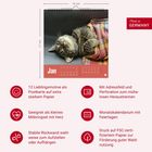 "Jan" ist in einem Kalender mit einem Bild einer schlafenden Katze neben einem karierten Stoff abgebildet. 