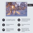 "Made in Europe". Großformatige Naturfotografie im Monatskalender. Winterlandschaft mit verschneiten Bäumen und Sonnenlicht.