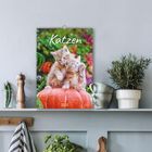 Titel: "Katzen". Zwei rote Kätzchen auf einem Kürbis. Dekorativer Raum mit Pflanzen, Bechern und Gewürzmühlen.