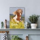 Kalender 2027, "Pferde", zeigt ein galoppierendes Pferd auf einer grünen Wiese, umgeben von Pflanzen auf einem Regal.