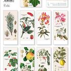 Botanicum Kalender mit Pflanzenabbildungen: Kiefern, Paprika, Lilien, Magnolien, Erdbeeren, Äpfel, Beeren, Zitronen, Trauben.