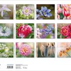 "Floral Art" zeigt zwölf Fotos von Blumen wie Schneeglöckchen, Pfingstrose und Rose, jeweils in bunter Blütenpracht.