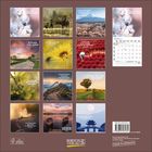 Texte: "Mut bedeutet, den ersten Schritt zu machen, selbst wenn du nicht den ganzen Weg sehen kannst." Ansicht von Naturbildern und Zitate.