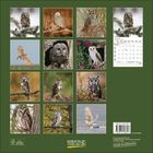Kalender Januar 2022. Zwölf Fotos von Eulen in verschiedenen Positionen und Umgebungen. Grün umrahmt. Logo unten: Korsch Verlag.