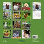 JANUAR 2024. MADE IN GERMANY. Zwölf Fotos von Hühnern auf grünem Hintergrund in drei Reihen angeordnet.